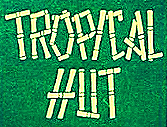 tropical hut illinois