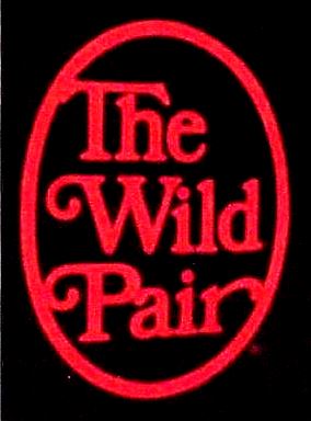 wild pair shoe store website