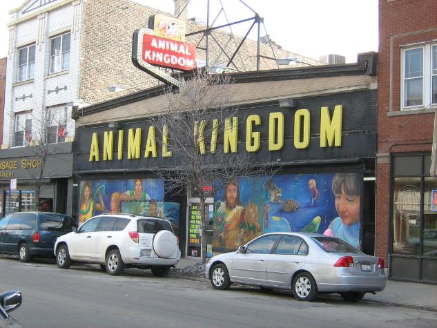 ANIMAL KINGDOM 