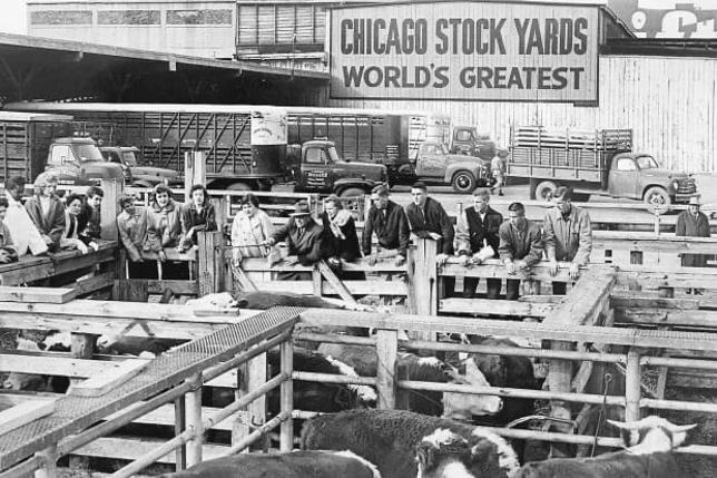 Union Stockyards Stock Yards Chicago