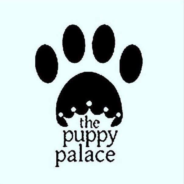 THE PUPPY PALACE