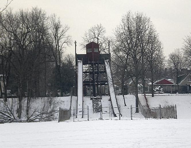 Caldwell Woods Forest Preserve Jensen Toboggan Slides