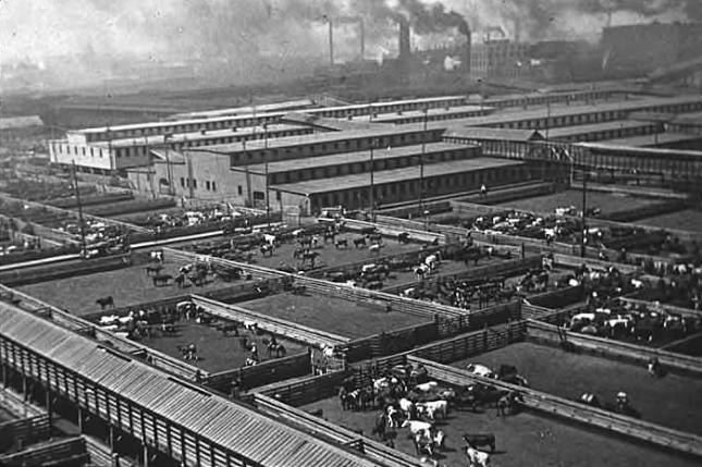 Union Stockyards Stock Yards Chicago