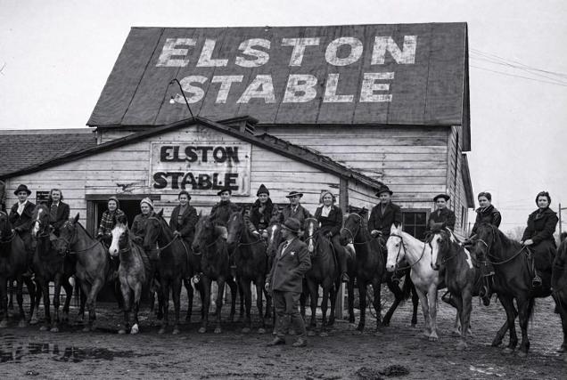 ELSTON STABLES JEFFERSON PARK IL