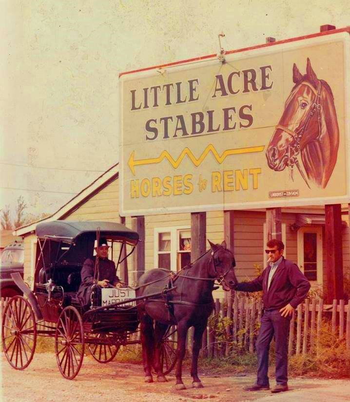 little acres stables norridge