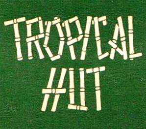 tropical hut 