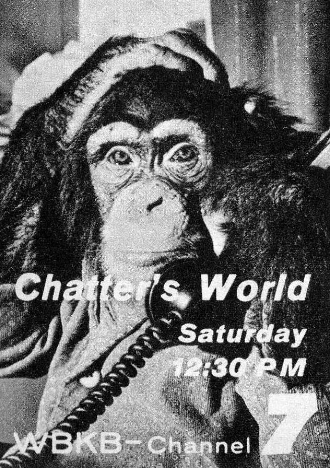 CHATTER'S WORLD WBKB