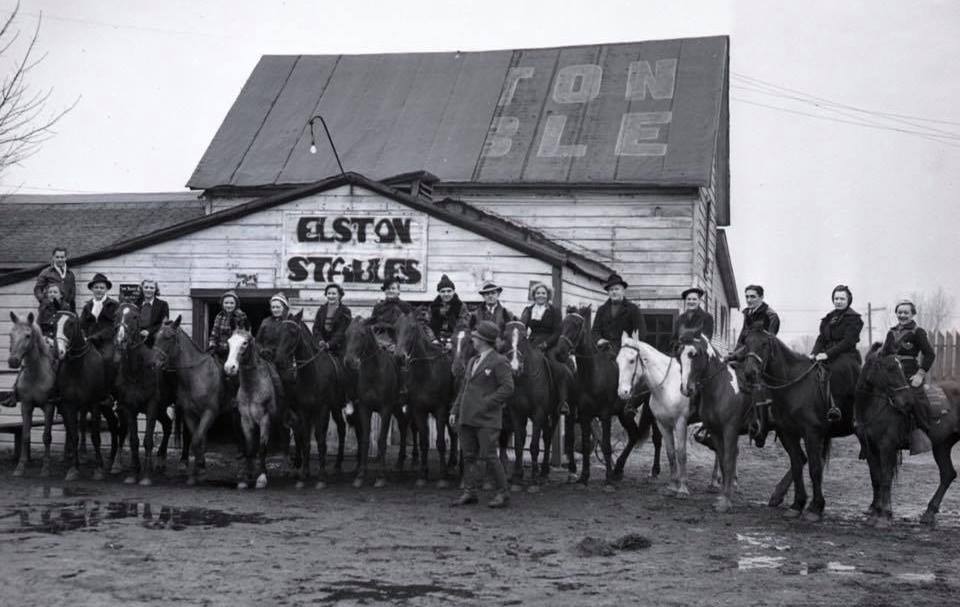 ELSTON STABLES JEFFERSON PARK IL