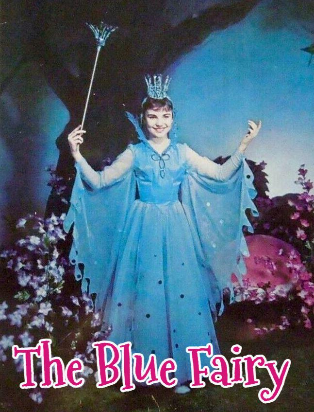 The Blue Fairy / WGN-TV,  featuring Bridid Bazlen 